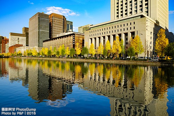 DSCF3248-raw.jpg