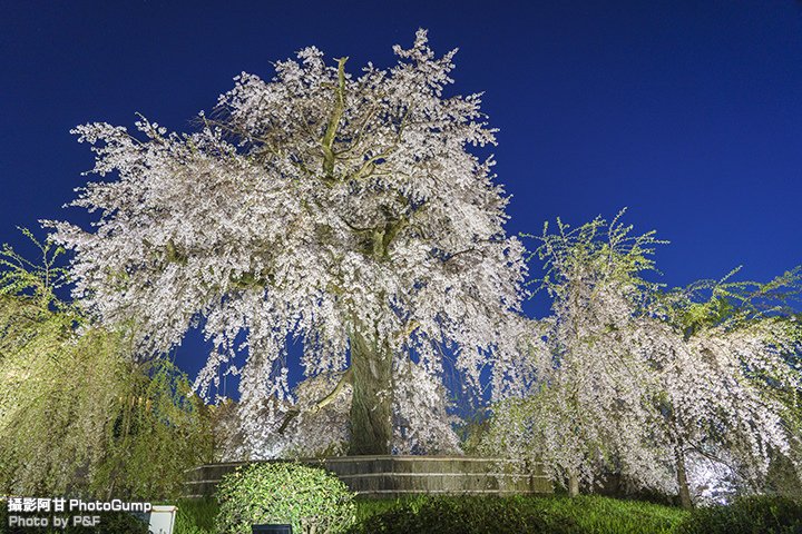 DSC00860-raw.jpg