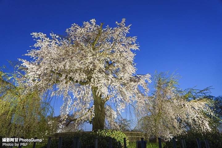 DSC00836-raw.jpg
