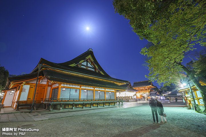 DSC01035-raw.jpg