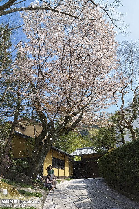 DSC04154-raw.jpg