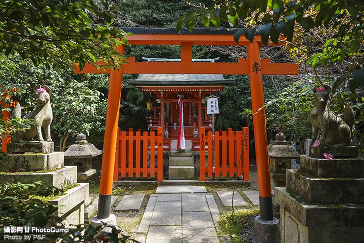 DSC04214-raw.jpg