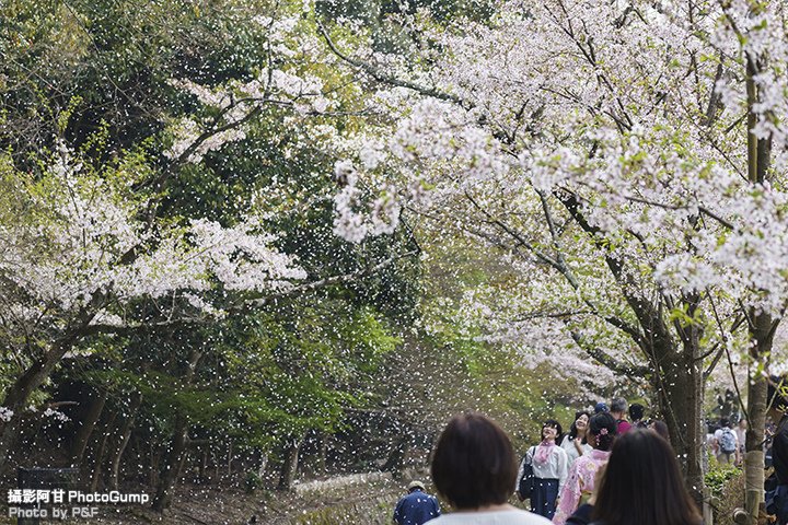 DSC04242-raw.jpg