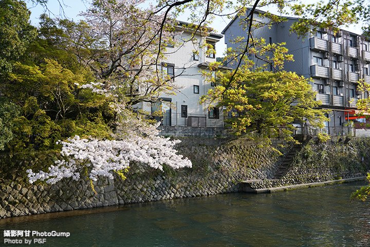 DSC04491.JPG
