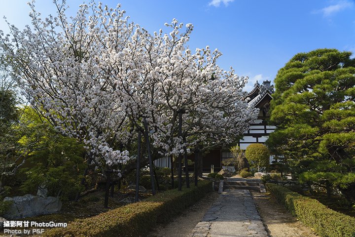 DSC04422-raw.jpg