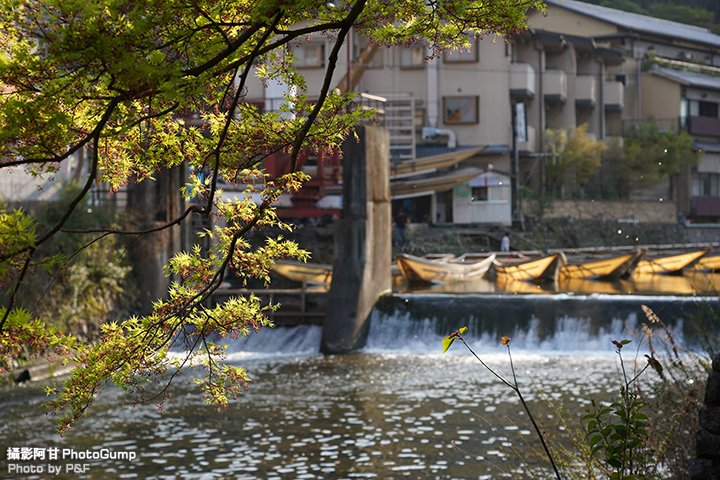 DSC04493.JPG