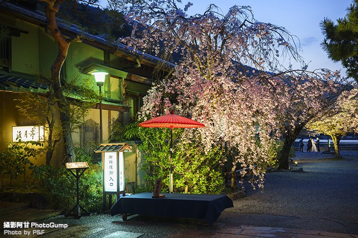 DSC04644-raw.jpg