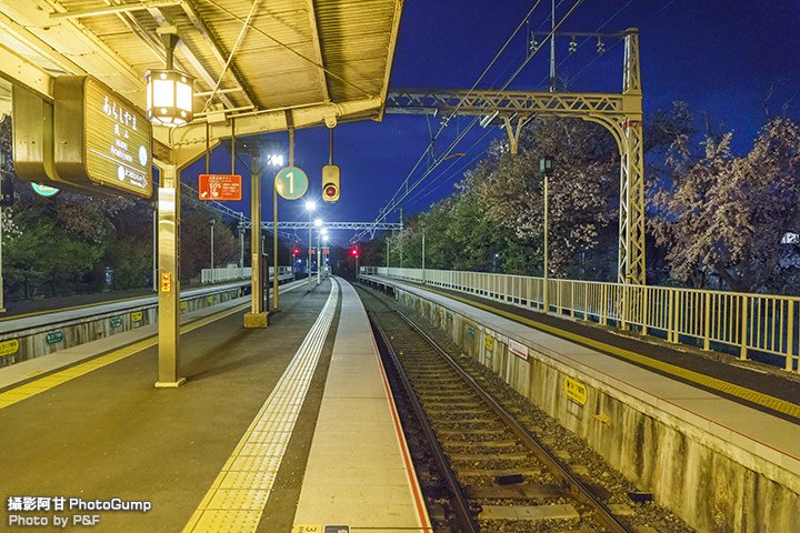 DSC04694-raw.jpg
