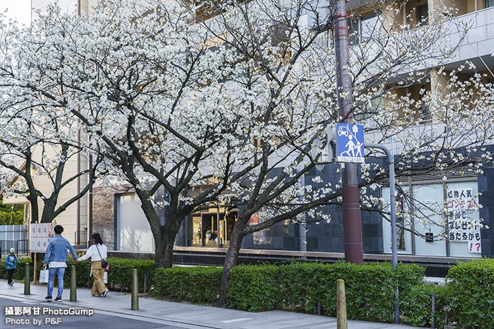 DSC00711-raw.jpg