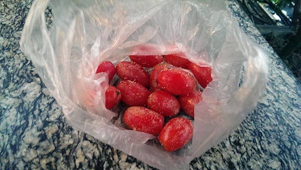 IMAG0903.jpg