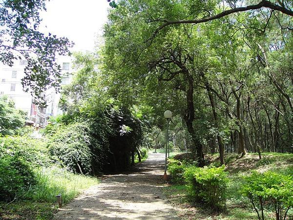 DSC04530
