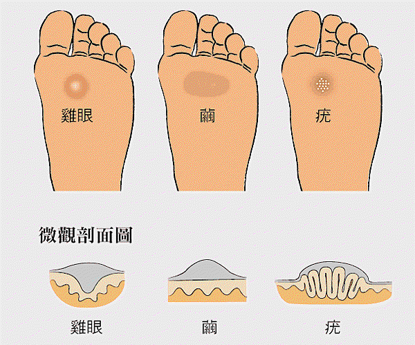 【台南美食】台南安平藝秝精緻便當・東區秝屋精緻便當 (附菜單