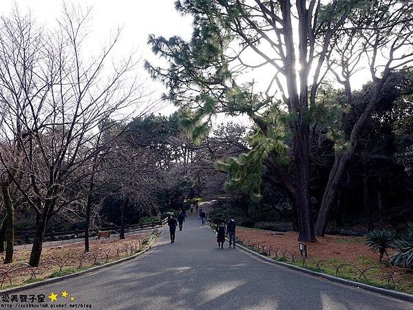 新宿御苑38.jpg