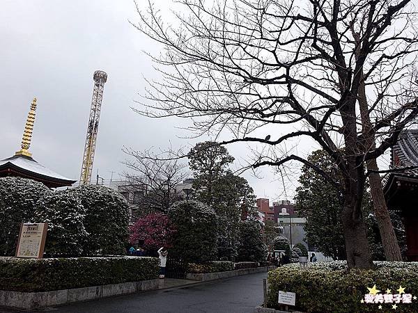 淺草觀音寺46.jpg