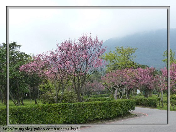 閒聊2010-02-62.jpg
