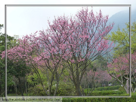 閒聊2010-02-63.jpg