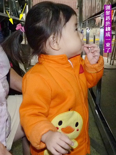 閒聊2010-10-66.jpg