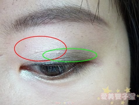 lavshuca雙色04.jpg