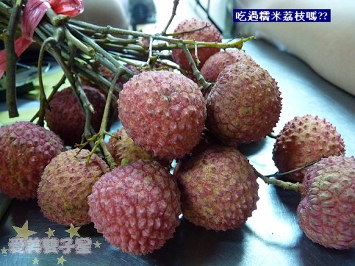 閒聊2010-06-96.jpg