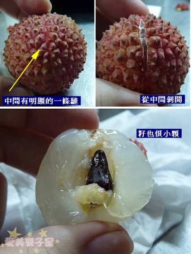 閒聊2010-06-97.jpg