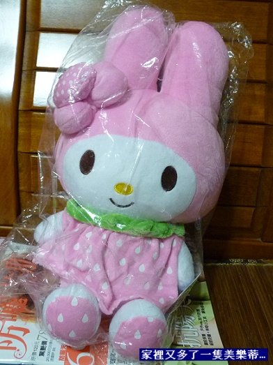 閒聊2010-06-78.jpg