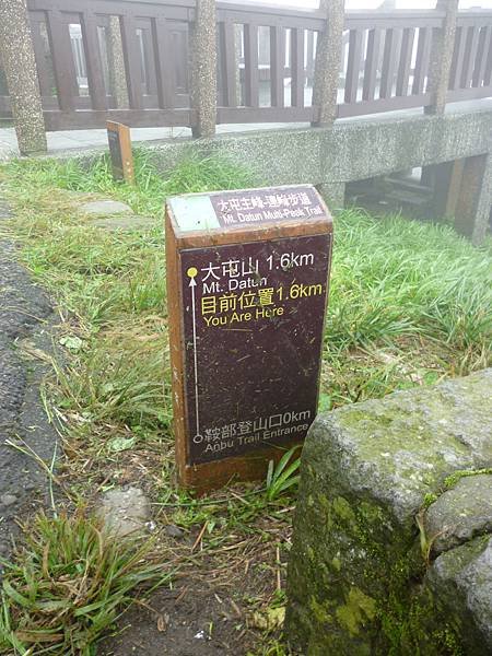 P1110863.JPG