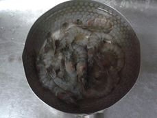 洗鮮蝦.JPG