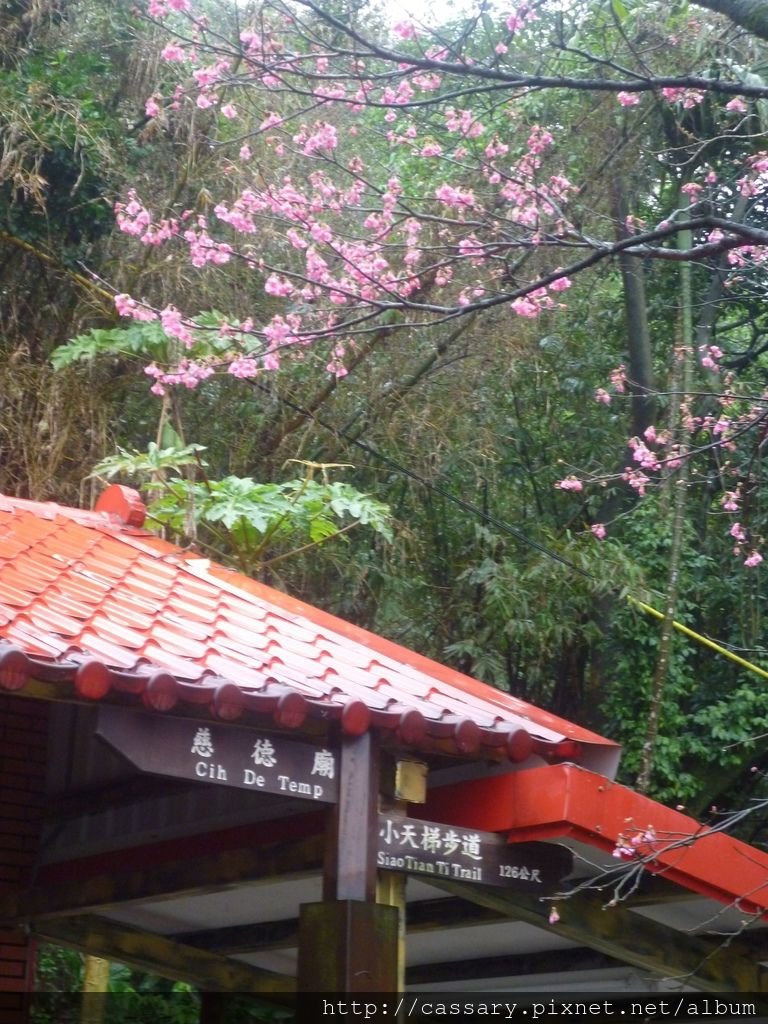 P1140322.JPG