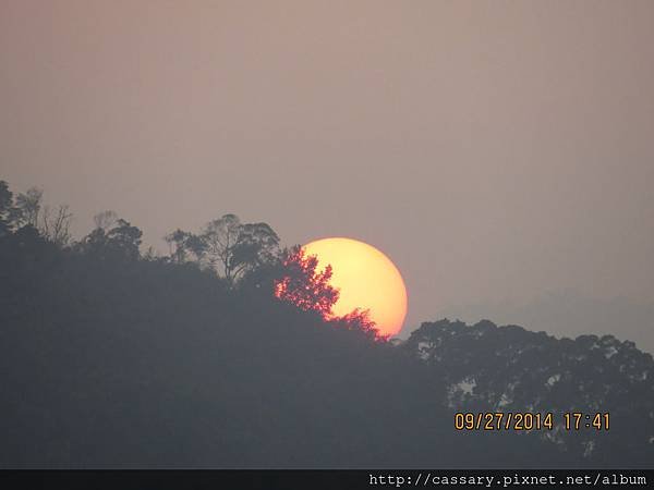 IMG_2575.JPG