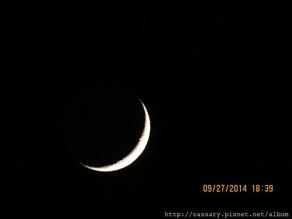 IMG_2594.JPG