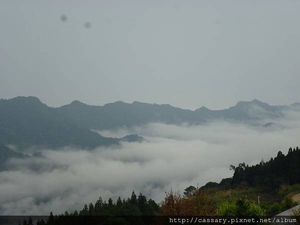 P1170923.JPG