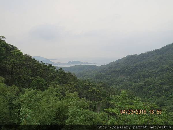 IMG_0890.JPG