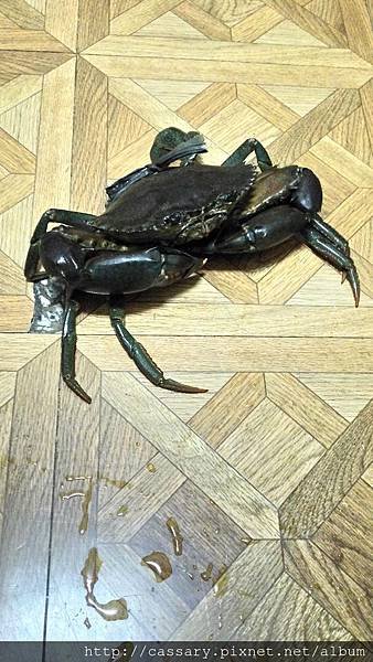 P_20170118_221645_HDR.jpg