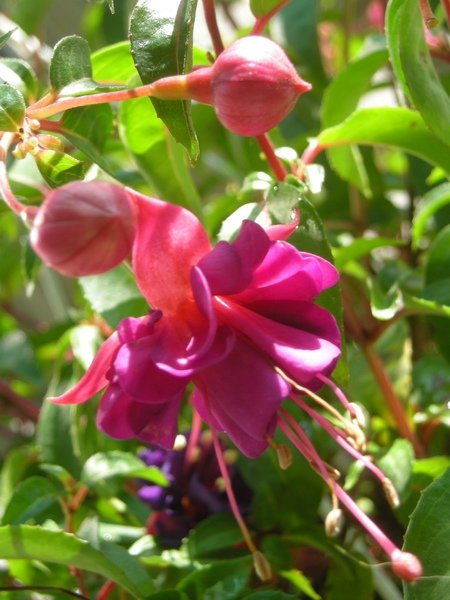 DSCN7086.JPG