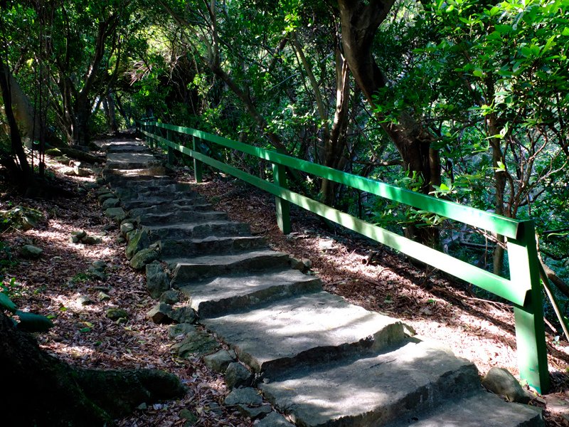 2013-11-09忠義山親山步道089.jpg