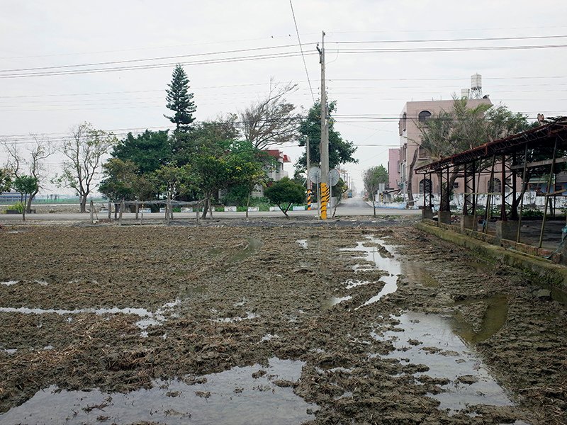 2016-02-10豆典庭園咖啡011.jpg