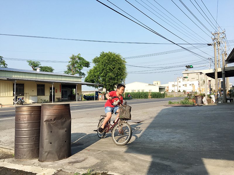 2017-05-07採番茄034.jpg