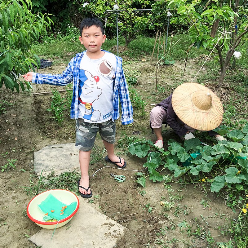 2017-05-20除草026.jpg
