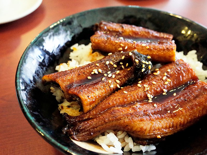 2017-08-12魚悅002.jpg