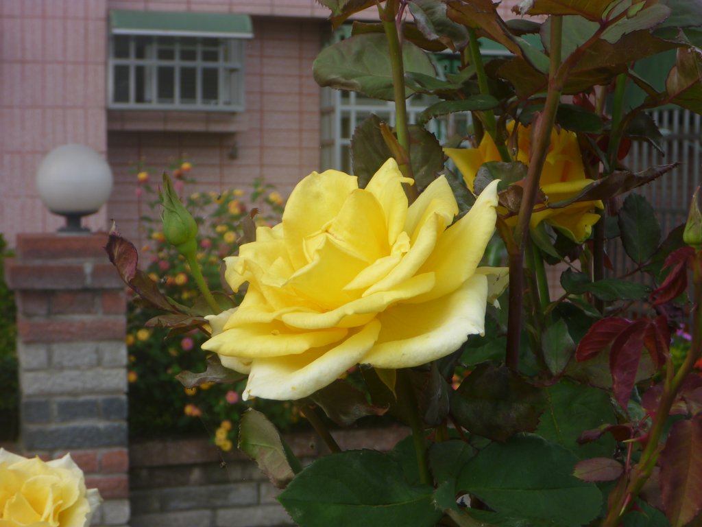 2010041802 124.JPG