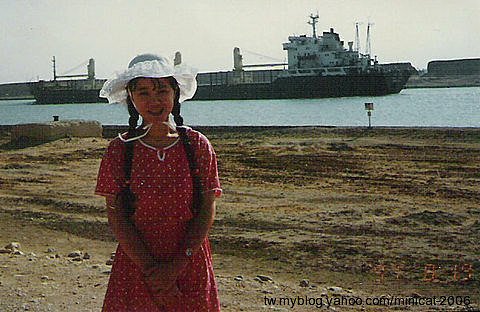 埃及蘇伊士運河 Egypt Suez Canal.jpg