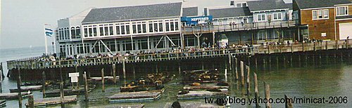 美國加州 舊金山 漁人碼頭 San Francisco Fisherman wharf.jpg