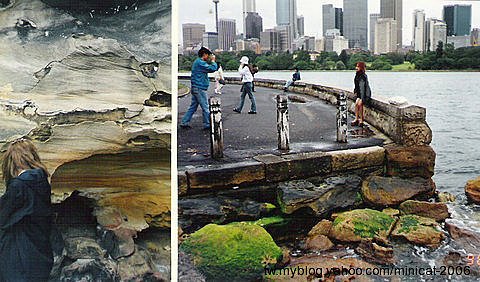 澳洲 雪梨 Australia Sydney City.jpg