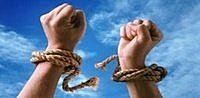 Freedom in Christ在基督裡的自由everydaylily blogspot com.jpg