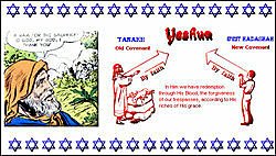 Galates 加拉太女www messianic-torah-truth-seeker org.jpg