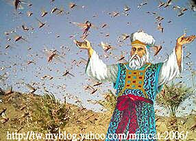 mini合成locust prophet蝗災imshin blogspot comwww christsassembly com.jpg
