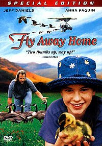 返家十萬里 Fly Away Home (6).jpg