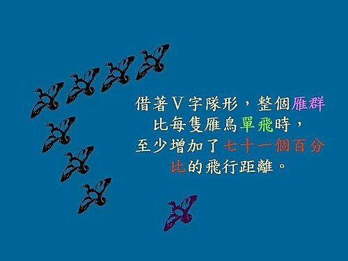 雁行理論  Flying geese theory (2).jpg