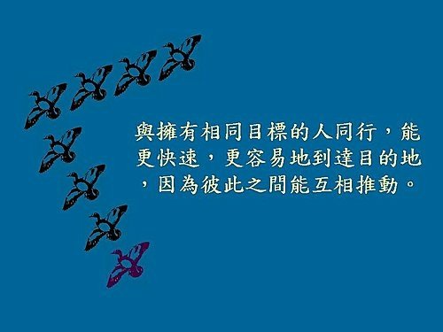 雁行理論  Flying geese theory (3).jpg
