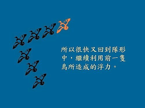 雁行理論  Flying geese theory (6).jpg